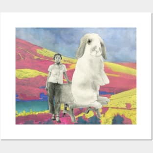 A Big Rabbit Posters and Art